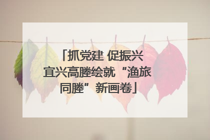 抓党建 促振兴 宜兴高塍绘就“渔旅同塍”新画卷