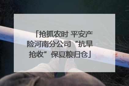 抢抓农时 平安产险河南分公司“抗旱抢收”保夏粮归仓