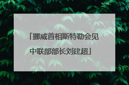 挪威首相斯特勒会见中联部部长刘建超