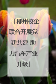 柳州校企联合开展党建共建 助力汽车产业升级
