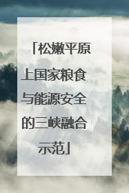 松嫩平原上国家粮食与能源安全的三峡融合示范
