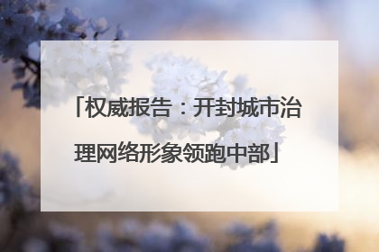 权威报告：开封城市治理网络形象领跑中部