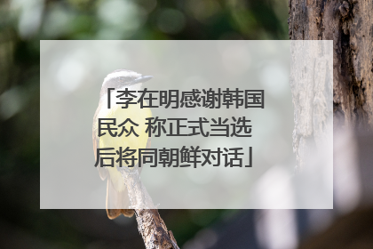李在明感谢韩国民众 称正式当选后将同朝鲜对话
