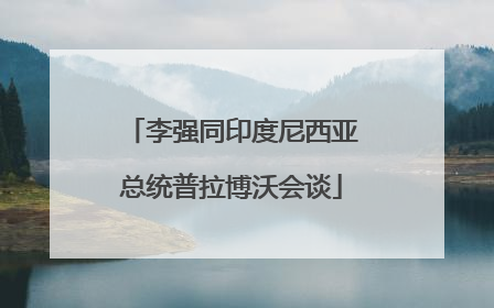 李强同印度尼西亚总统普拉博沃会谈