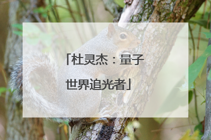 杜灵杰：量子世界追光者