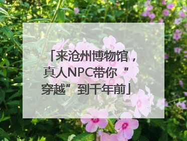 来沧州博物馆，真人NPC带你“穿越”到千年前