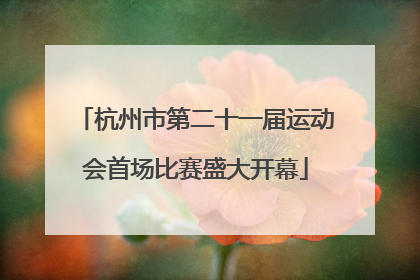 杭州市第二十一届运动会首场比赛盛大开幕