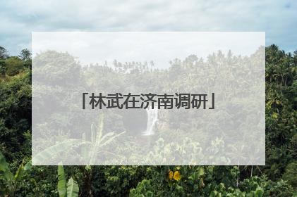 林武在济南调研