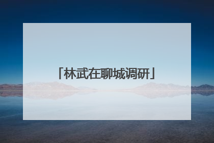 林武在聊城调研