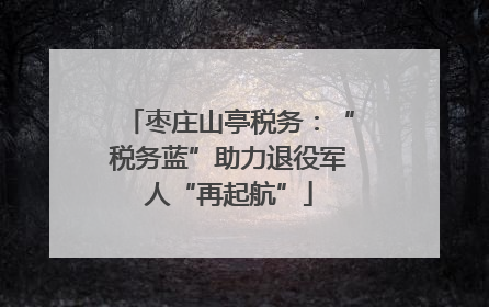 枣庄山亭税务：“税务蓝”助力退役军人“再起航”