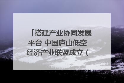搭建产业协同发展平台 中国庐山低空经济产业联盟成立（组图｜视频）