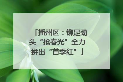 播州区：铆足劲头“抢春光”全力拼出“首季红”