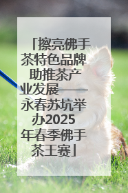 擦亮佛手茶特色品牌 助推茶产业发展——永春苏坑举办2025年春季佛手茶王赛
