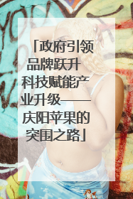 政府引领品牌跃升 科技赋能产业升级——庆阳苹果的突围之路