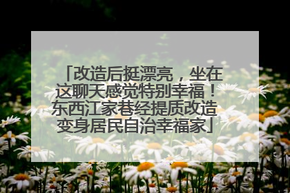 改造后挺漂亮,坐在这聊天感觉特别幸福!东西江家巷经提质改造变身居民自治幸福家