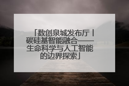 数创泉城发布厅丨碳硅基智能融合——生命科学与人工智能的边界探索