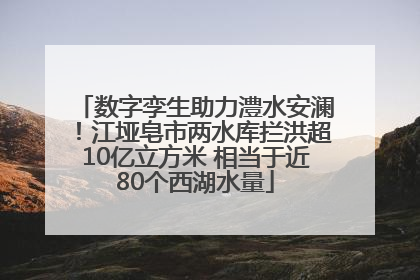 数字孪生助力澧水安澜！江垭皂市两水库拦洪超10亿立方米 相当于近80个西湖水量
