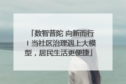 数智普陀 向新而行〡当社区治理遇上大模型，居民生活更便捷