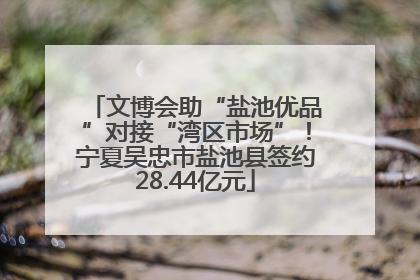 文博会助“盐池优品”对接“湾区市场”！宁夏吴忠市盐池县签约28.44亿元