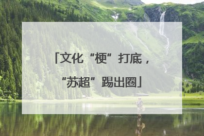 文化“梗”打底，“苏超”踢出圈