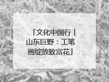 文化中国行丨山东巨野：工笔画绽放致富花