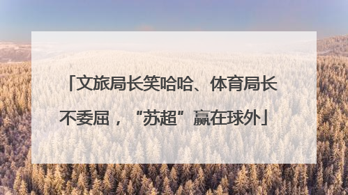 文旅局长笑哈哈、体育局长不委屈，“苏超”赢在球外