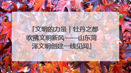 文明的力量｜牡丹之都吹拂文明新风——山东菏泽文明创建一线见闻