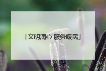 文明润心 服务暖民