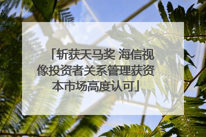 斩获天马奖 海信视像投资者关系管理获资本市场高度认可