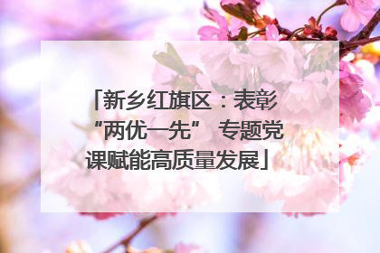新乡红旗区：表彰 “两优一先” 专题党课赋能高质量发展