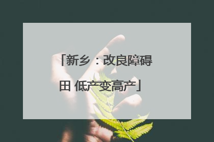 新乡：改良障碍田 低产变高产