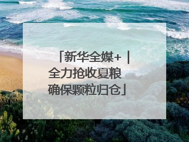 新华全媒+｜全力抢收夏粮 确保颗粒归仓