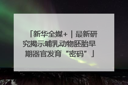 新华全媒+｜最新研究揭示哺乳动物胚胎早期器官发育“密码”