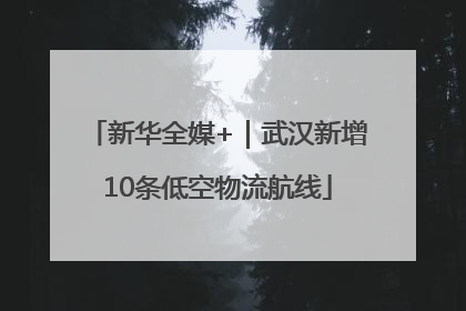 新华全媒+｜武汉新增10条低空物流航线