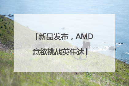 新品发布，AMD意欲挑战英伟达