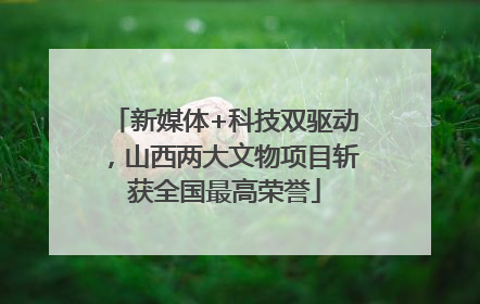 新媒体+科技双驱动，山西两大文物项目斩获全国最高荣誉