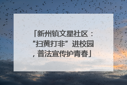 新州镇文星社区：“扫黄打非”进校园，普法宣传护青春
