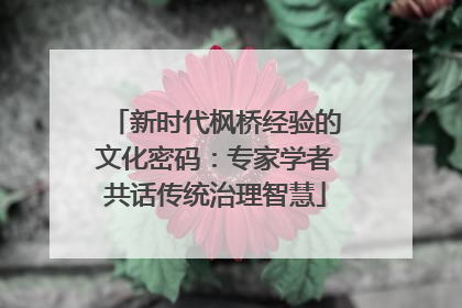 新时代枫桥经验的文化密码：专家学者共话传统治理智慧