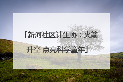 新河社区计生协：火箭升空 点亮科学童年