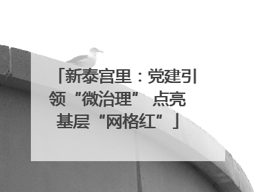 新泰宫里：党建引领“微治理” 点亮基层“网格红”
