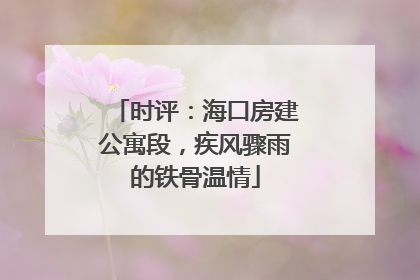 时评：海口房建公寓段，疾风骤雨的铁骨温情