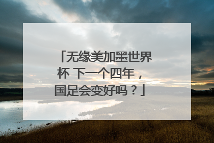 无缘美加墨世界杯 下一个四年，国足会变好吗？