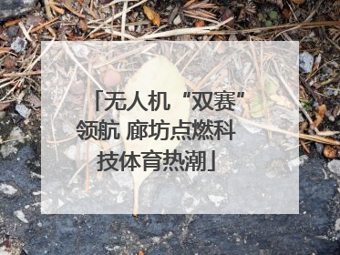 无人机“双赛”领航 廊坊点燃科技体育热潮