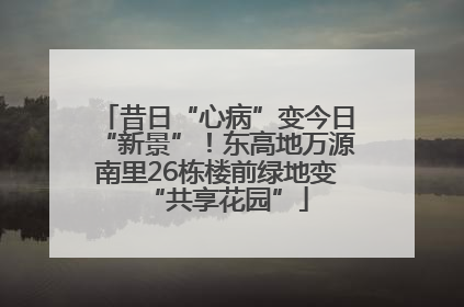 昔日“心病”变今日“新景”！东高地万源南里26栋楼前绿地变“共享花园”