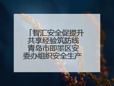 智汇安全促提升 共享经验筑防线 青岛市即墨区安委办组织安全生产共享专家现场观摩学习活动