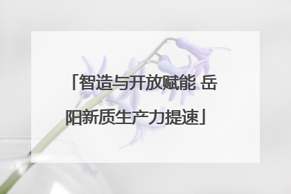 智造与开放赋能 岳阳新质生产力提速