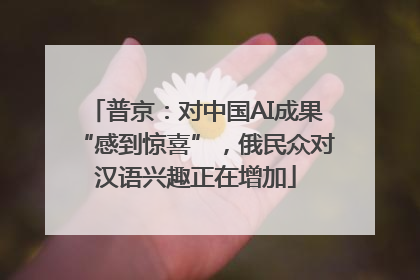 普京：对中国AI成果“感到惊喜”，俄民众对汉语兴趣正在增加