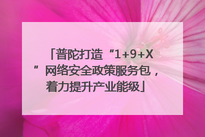 普陀打造“1+9+X”网络安全政策服务包，着力提升产业能级