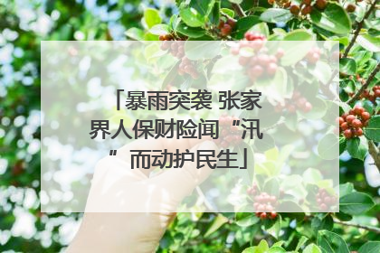 暴雨突袭 张家界人保财险闻“汛”而动护民生