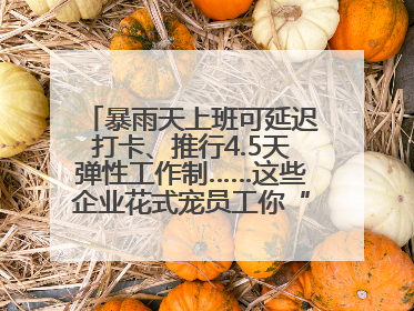 暴雨天上班可延迟打卡、推行4.5天弹性工作制……这些企业花式宠员工你“慕”了吗？